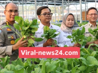 Panen Raya Sawi Hidroponik dan Ikan di Greenhouse SPPG Palmerah, Siapkan Pasokan Pangan Sehat dan Mandiri