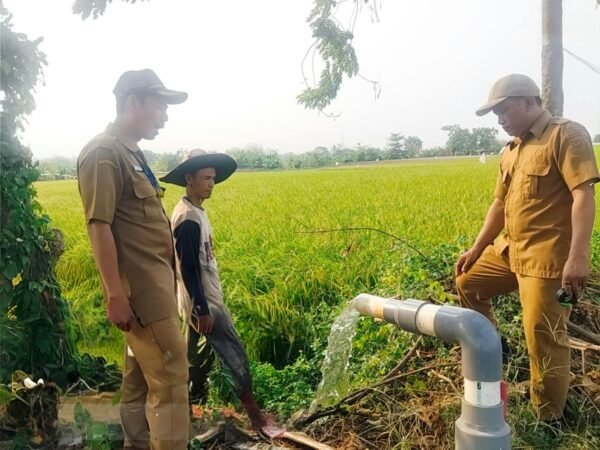Hadapi Kekeringan, Pemkab Tangerang Perkuat Mitigasi Pertanian